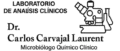 laboratoriocarvajallaurent.com